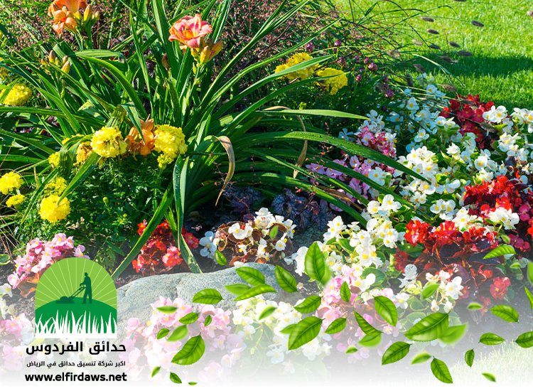 تنسيق حدائق جنوب الرياض 