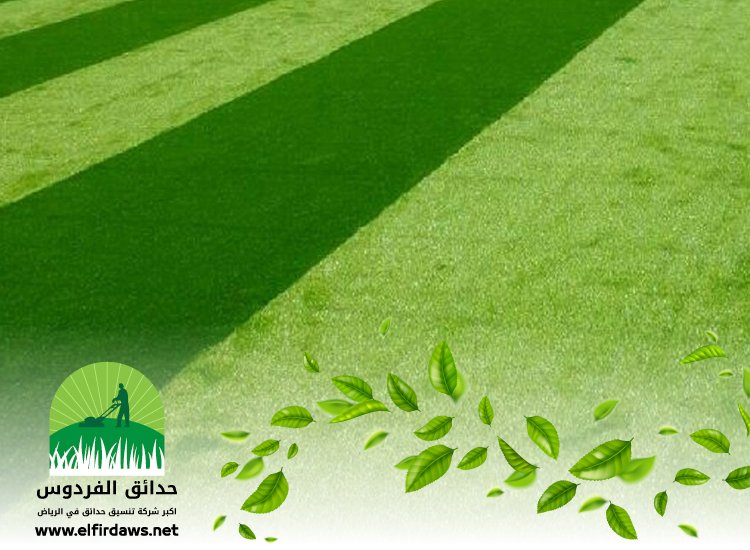 شركة تجهيز ملاعب شرق الرياض