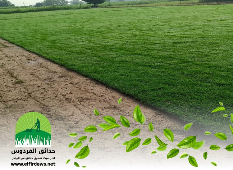 تركيب ثيل