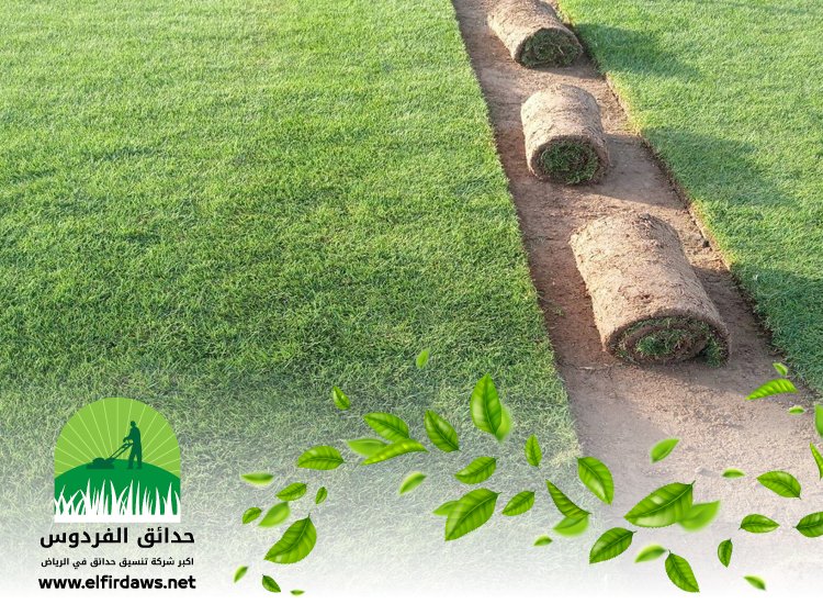 تركيب ثيل طبيعي بالرياض