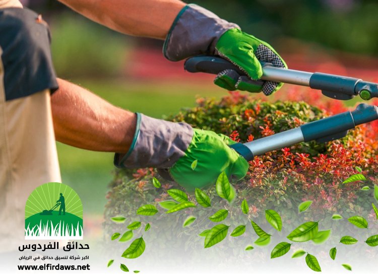 تنسيق حدائق شرق الرياض