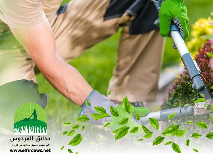 تنسيق حدائق شرق الرياض