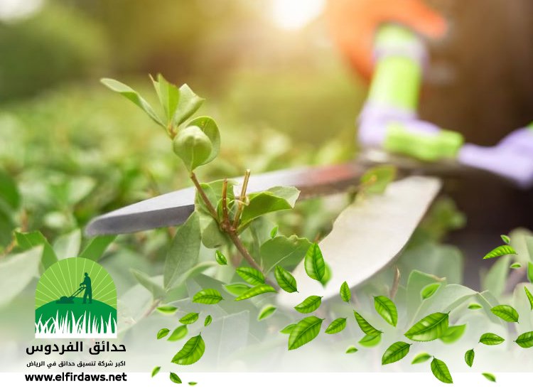 تنسيق حدائق جنوب الرياض