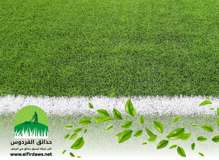 شركة تجهيز ملاعب شرق الرياض