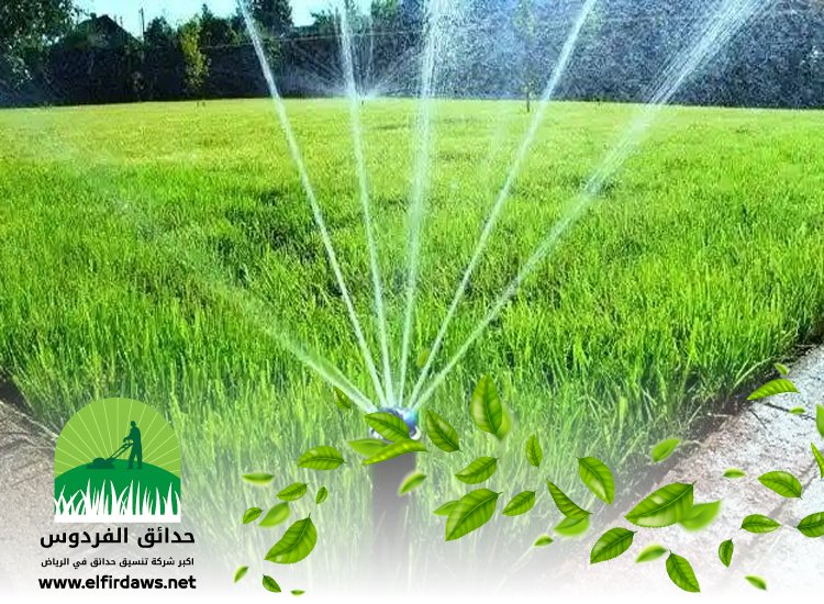 تركيب شبكات الري شمال الرياض 