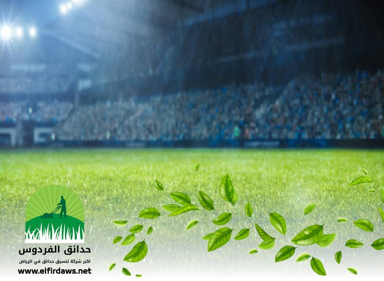 شركة تجهيز ملاعب شرق الرياض