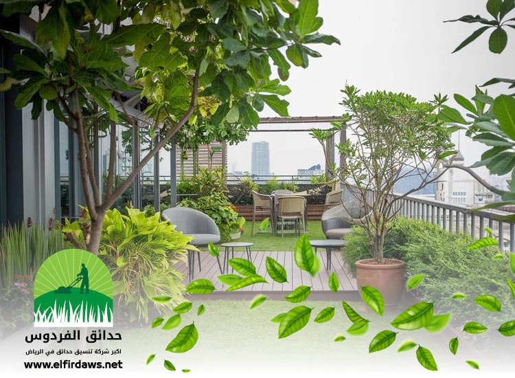 تنسيق اسطح بالرياض
