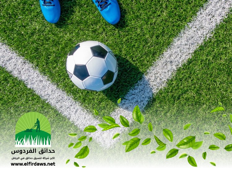 شركة تجهيز ملاعب شرق الرياض