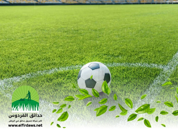 شركة تجهيز ملاعب شمال الرياض