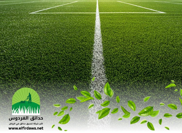 شركة تجهيز ملاعب جنوب الرياض