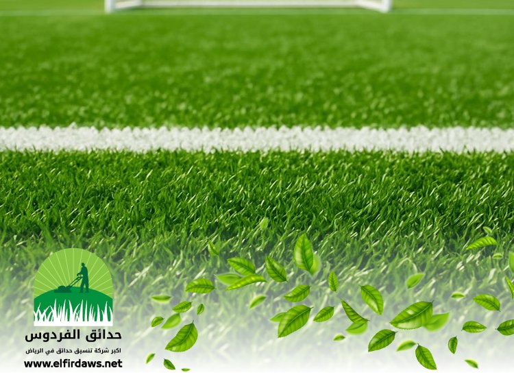 شركة تجهيز ملاعب بالرياض