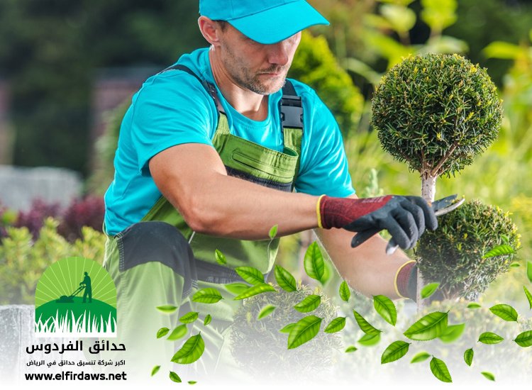 شركة تنسيق حدائق بحي النخيل