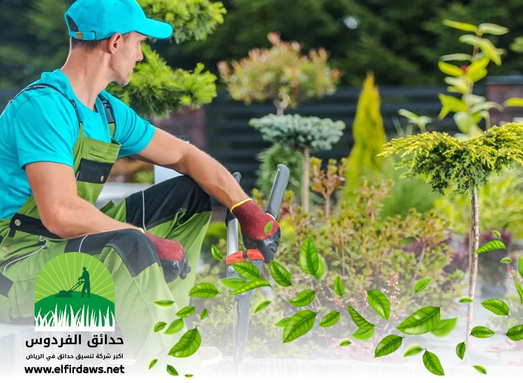 شركة تنسيق حدائق بحي الوادي