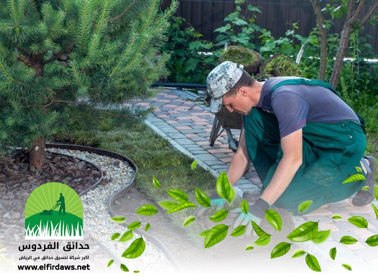شركة تنسيق حدائق بحي الملك فهد