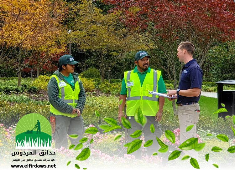 شركة تنسيق حدائق بحي المحمدية