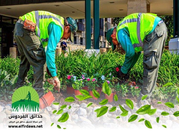 شركة تنسيق حدائق بحي الواحة