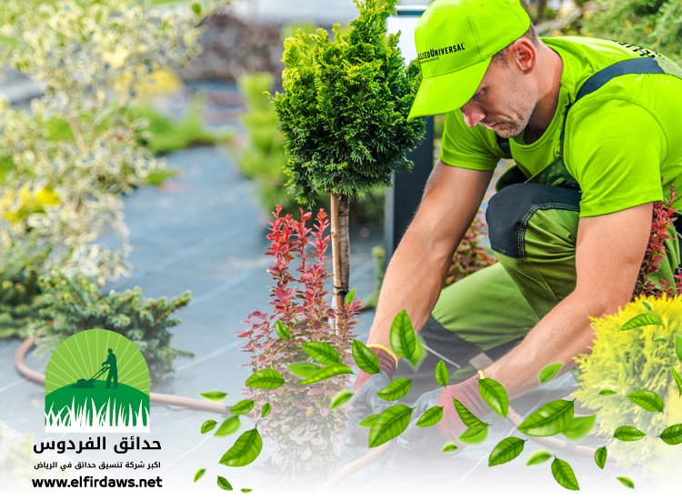 شركة تنسيق حدائق بحي الياسمين