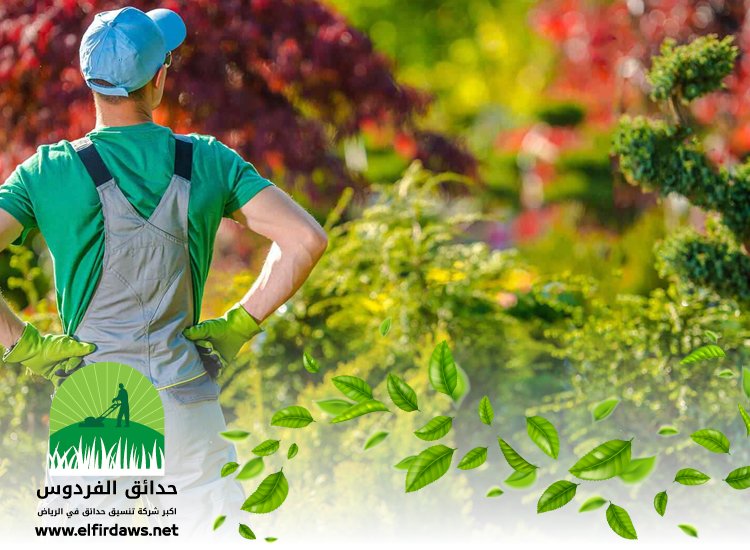 شركة تنسيق حدائق بالخزامي