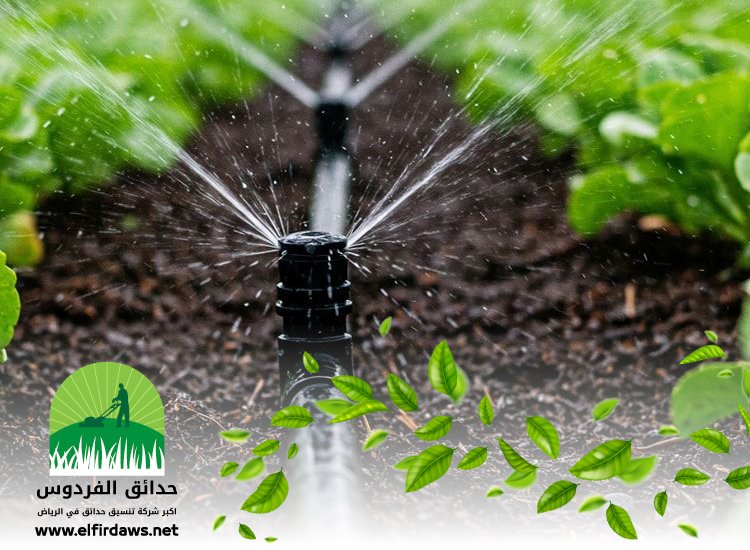 تركيب شبكات الري شمال الرياض
