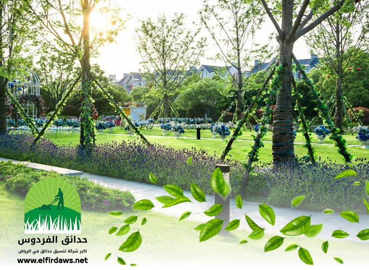 شركة تنسيق حدائق بحي العارض