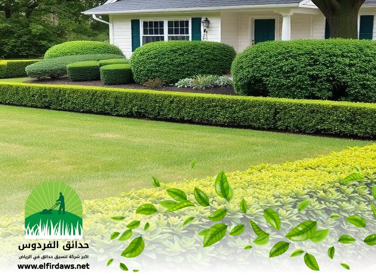 شركة تنسيق حدائق بحي النخيل