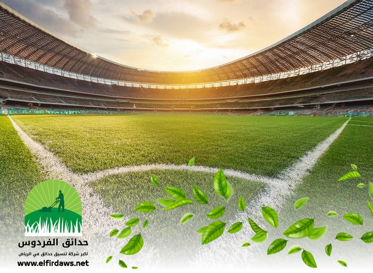 شركة تجهيز ملاعب شرق الرياض