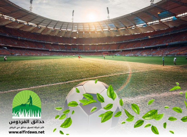 شركة تجهيز ملاعب شرق الرياض