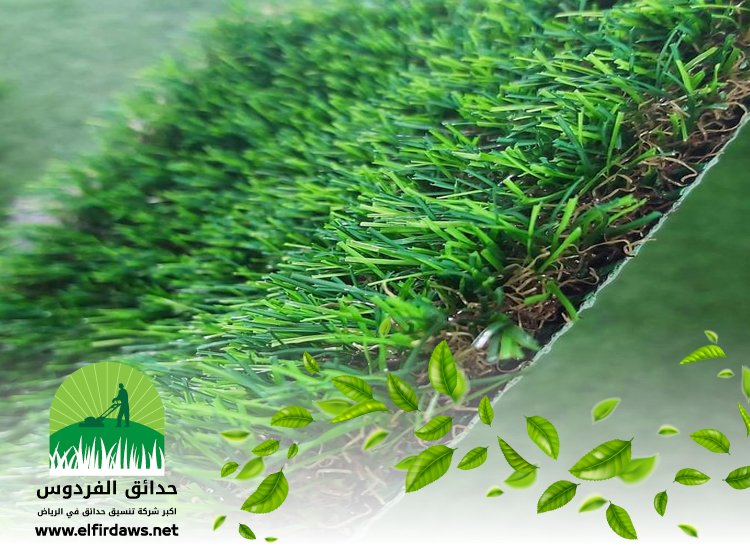 تركيب عشب صناعي بحي الرحمانية
