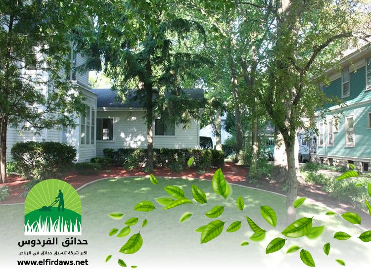 شركة تنسيق حدائق بحي الربيع