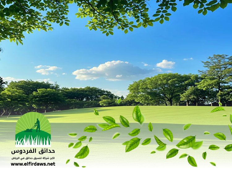 تركيب ثيل طبيعي بالرياض