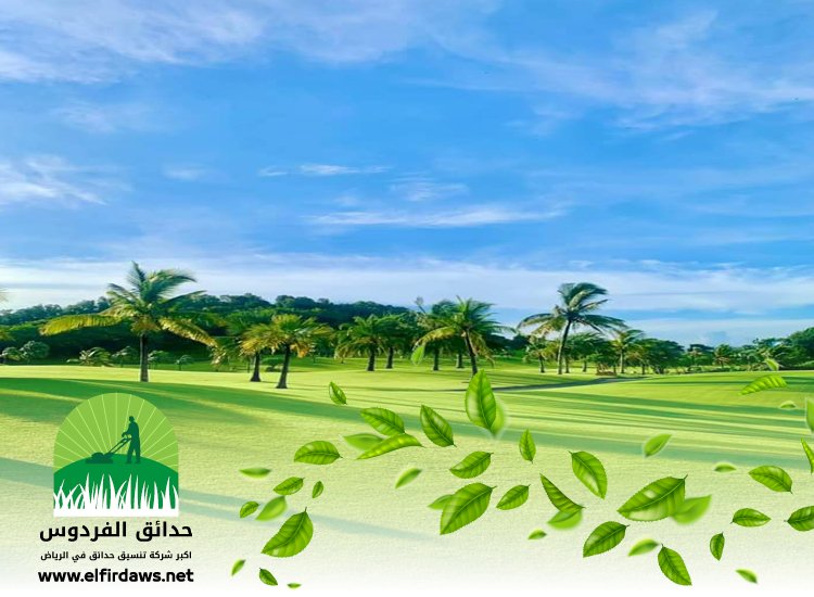 تركيب ثيل طبيعي بالرياض