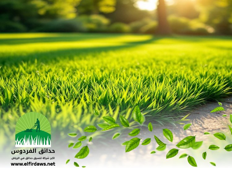 تركيب عشب شمال الرياض