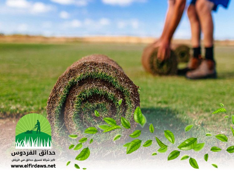 تركيب عشب شمال الرياض