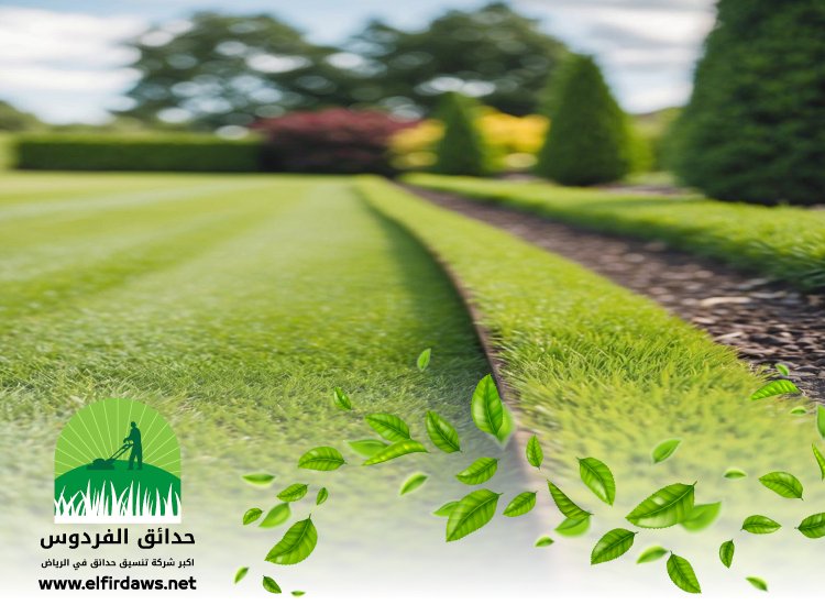 تركيب عشب شمال الرياض