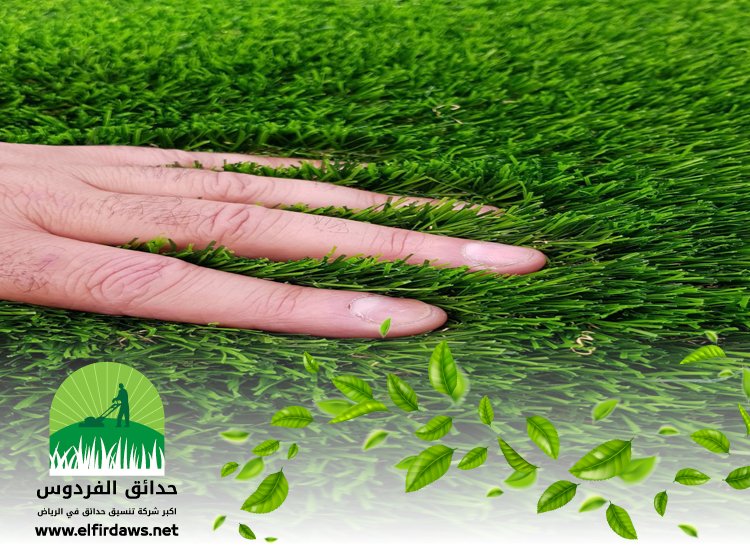 تركيب عشب غرب الرياض