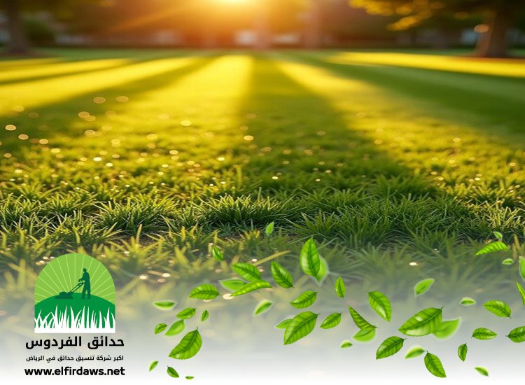 تركيب عشب شرق الرياض