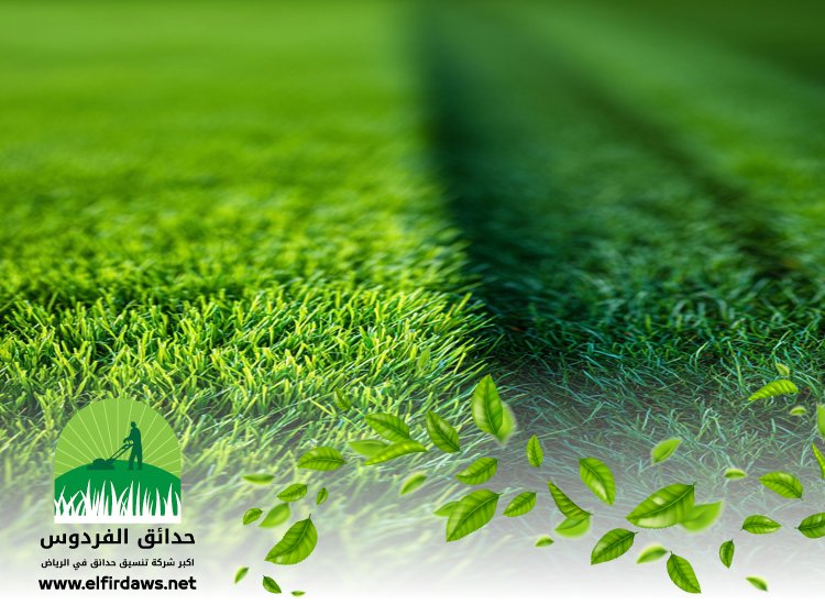 تركيب عشب شرق الرياض