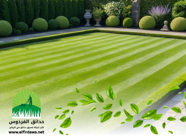 تركيب عشب جنوب الرياض