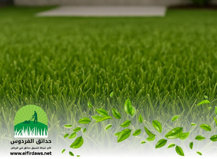 تركيب عشب جنوب الرياض