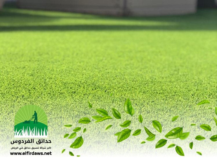تركيب عشب جنوب الرياض