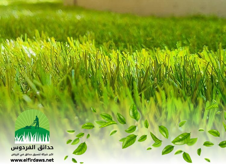 تركيب عشب جداري بالرياض